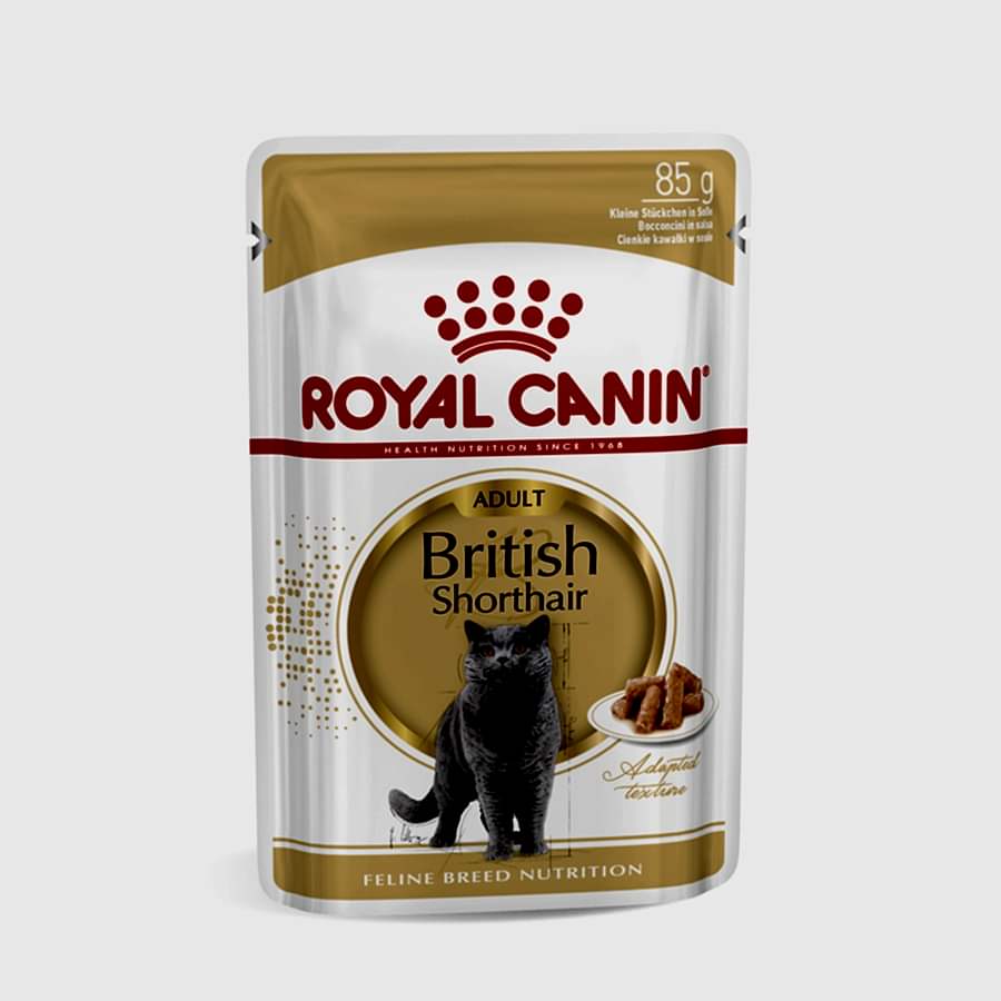 Royal Canin British Shorthair Adult Wet Cat Food