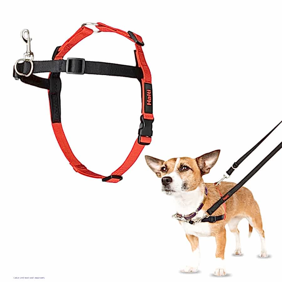 Halti Front Control Dog Harness Red & Black