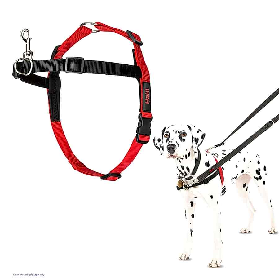 Halti Front Control Dog Harness Red & Black