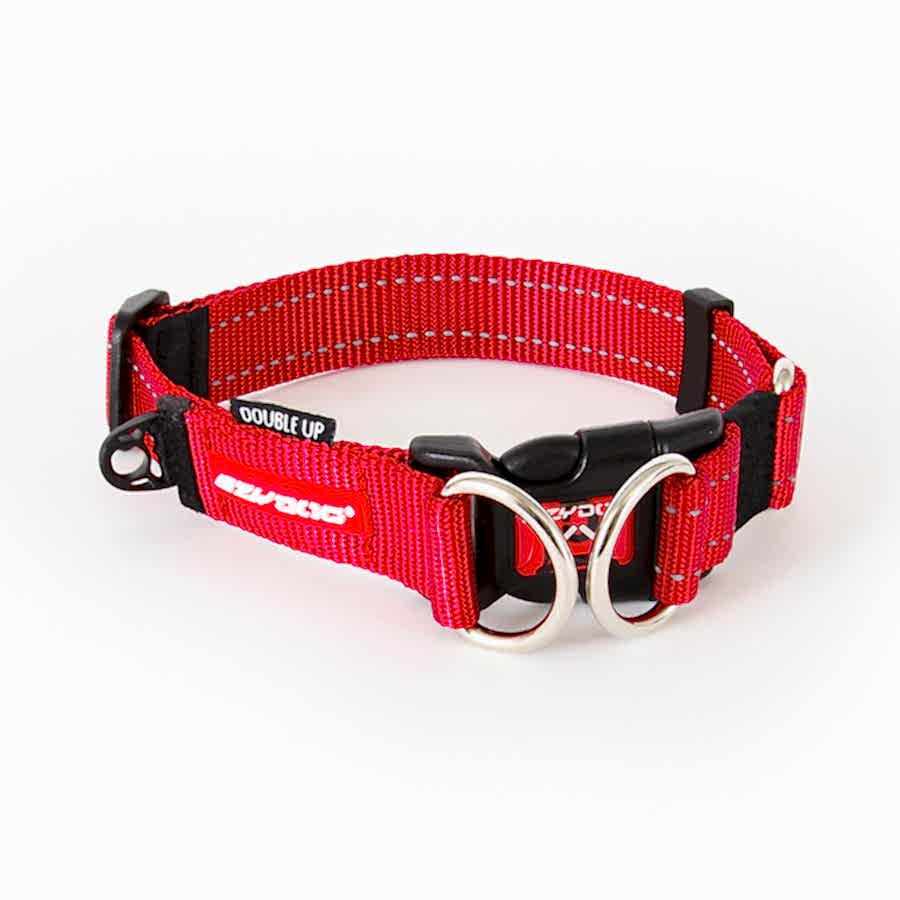 EzyDog Double Up Dog Collar Red