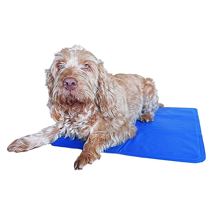 Rosewood Chillax Dog Cool Pad Blue