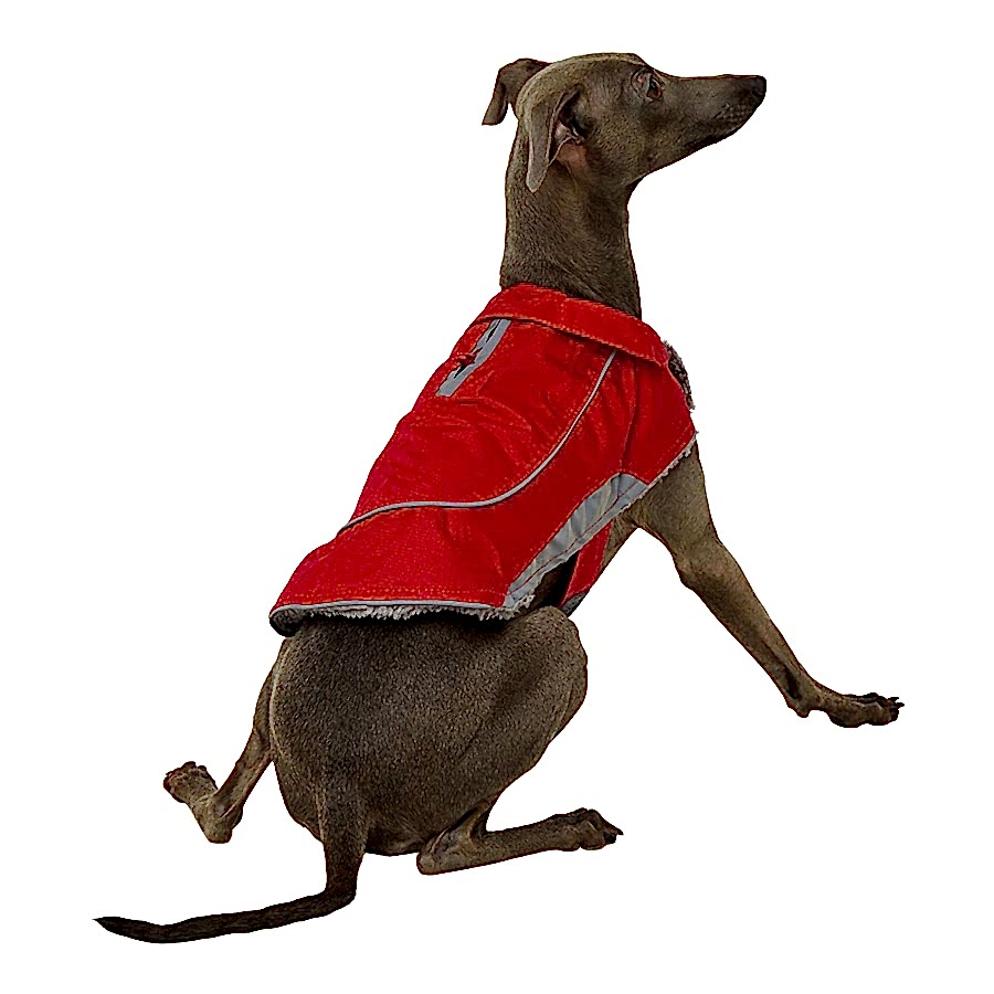 Pets at Home Ripstop Reflective Dog Coat Red