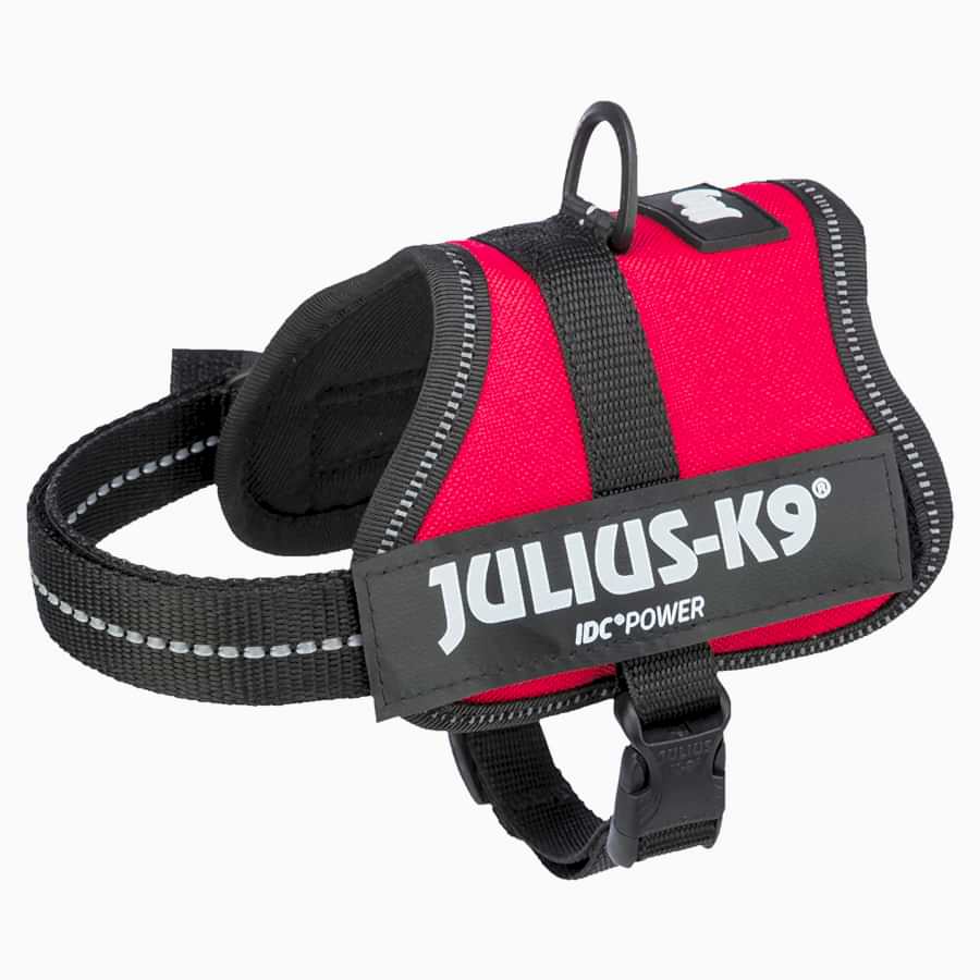 Julius-K9 Powerharness Dog Harness Red