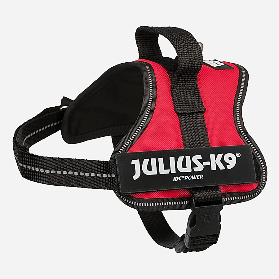 Julius-K9 Powerharness Dog Harness Red