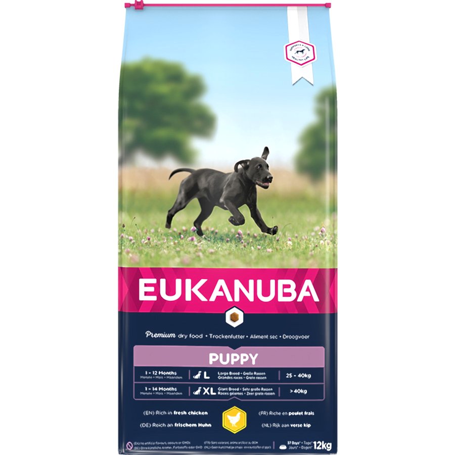 Eukanuba Large Breed Puppy Dry Dog Food Chicken