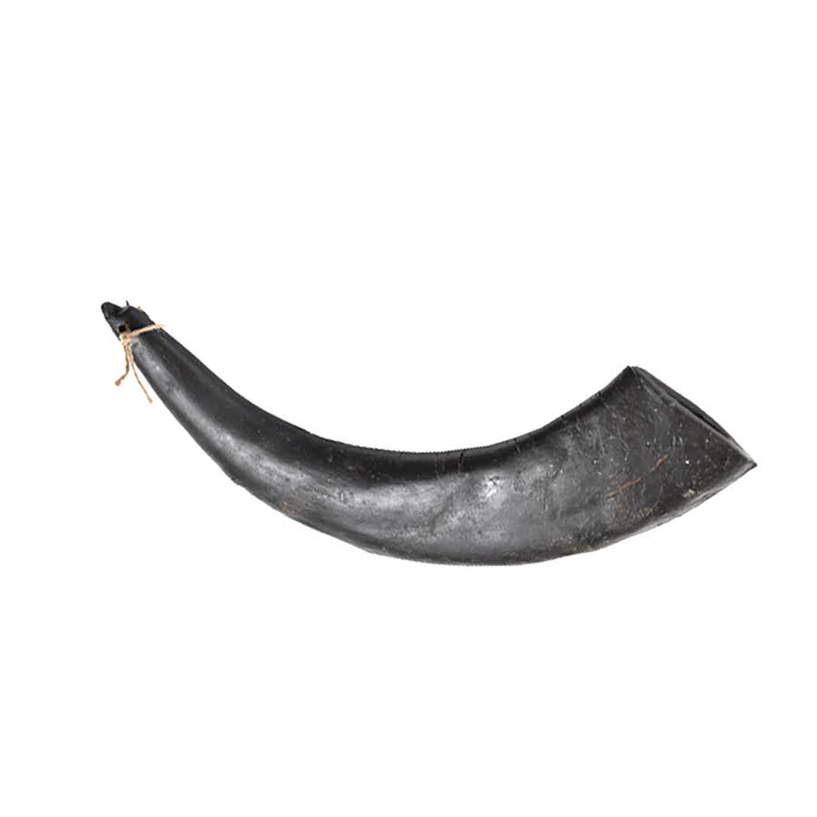 Hollings Jumbo Buffalo Horn Dog Chew