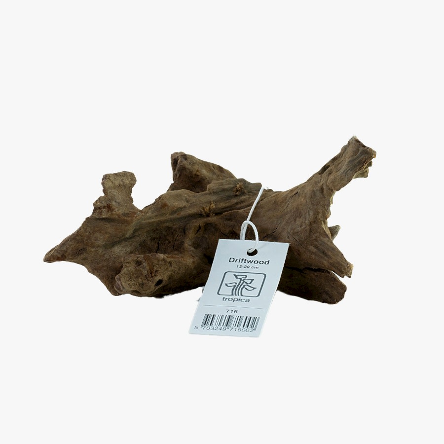 Tropica Plant Growth Driftwood Ornament