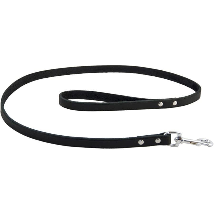 Earthbound Leather Lead Black