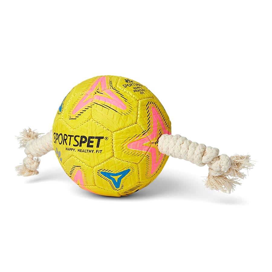 SportsPet Dog Football