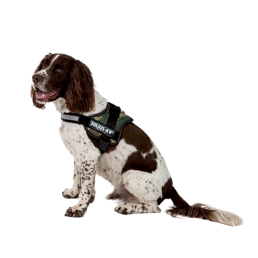 Julius-K9 Powerharness Dog Harness Camouflage