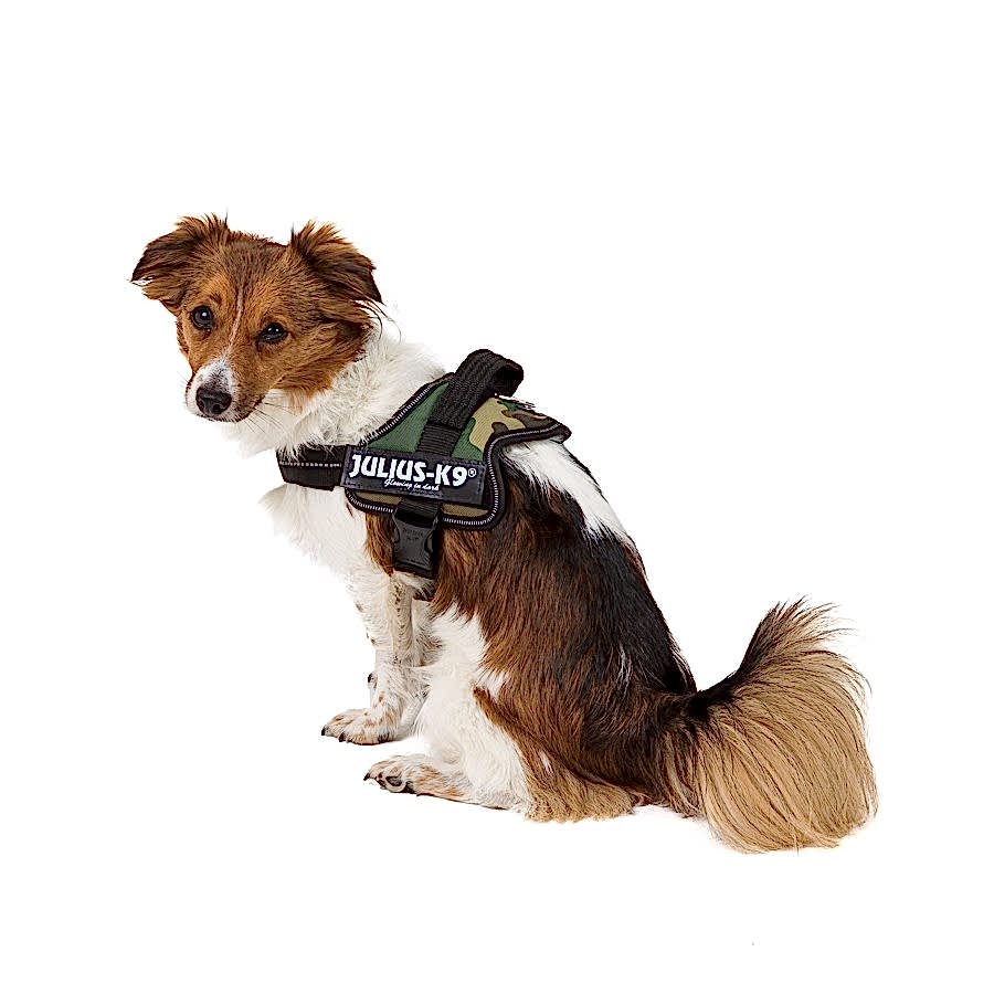 Julius-K9 Powerharness Dog Harness Camouflage