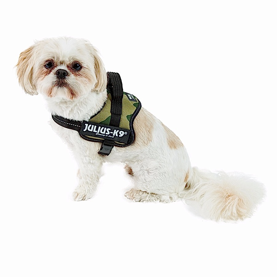 Julius-K9 Powerharness Dog Harness Camouflage