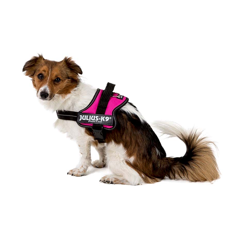 Julius-K9 Powerharness Dog Harness Fuchsia