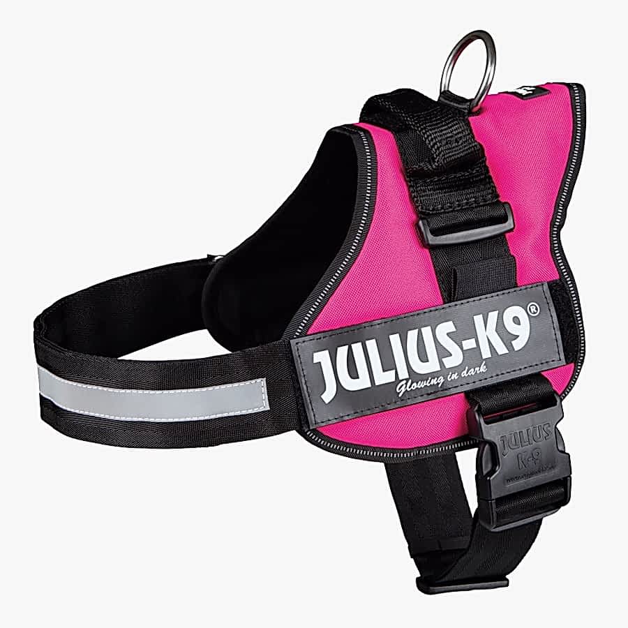 Julius-K9 Powerharness Dog Harness Fuchsia