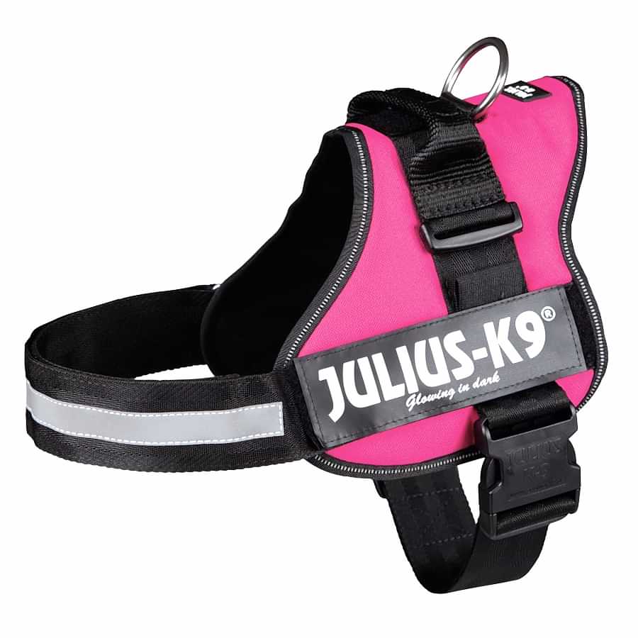 Julius-K9 Powerharness Dog Harness Fuchsia