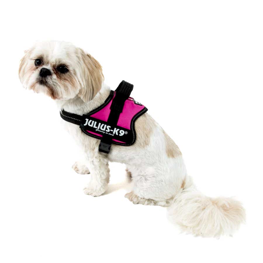 Julius-K9 Powerharness Dog Harness Fuchsia