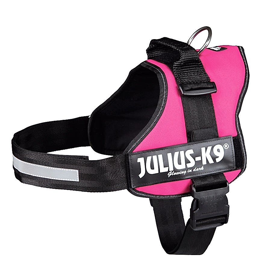 Julius-K9 Powerharness Dog Harness Fuchsia