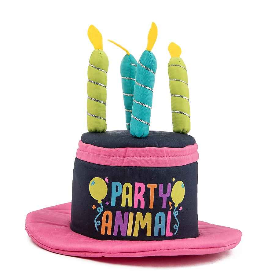 Party Dog Birthday Hat