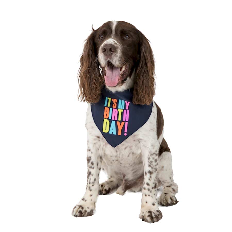 Party Dog Birthday Bandana Dog Navy