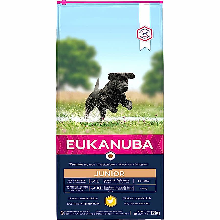 Eukanuba Large Breed Junior Dry Dog Food Chicken