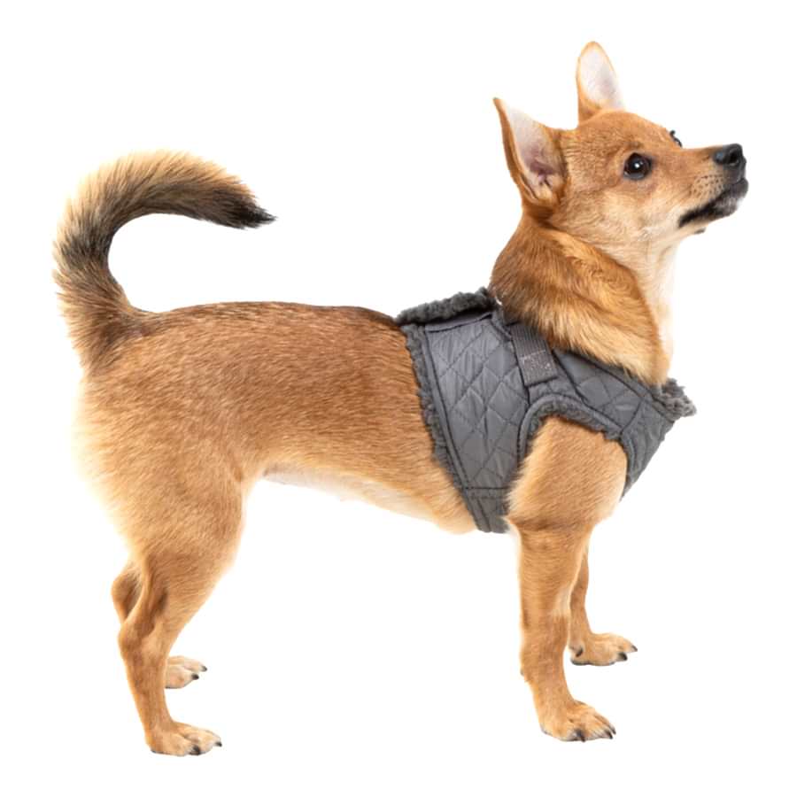 Wag-a-Tude Quilted Dog Harness Grey