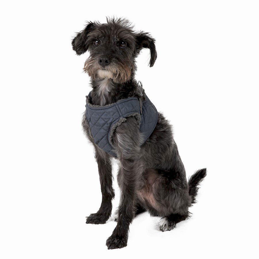 Wag-a-Tude Quilted Dog Harness Grey