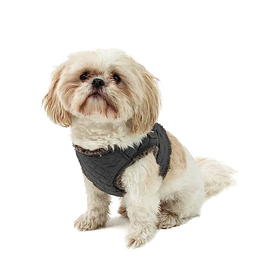 Wag-a-Tude Quilted Dog Harness Grey