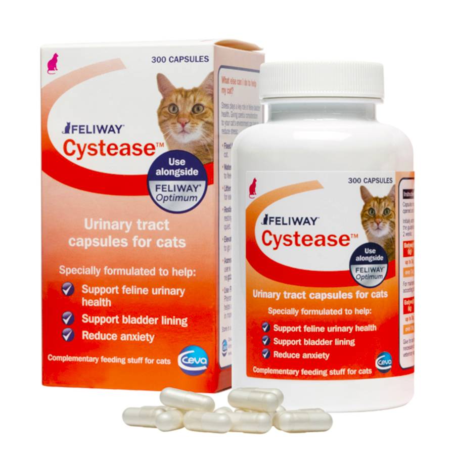 Feliway Cystease Urinary Tract Supplements for Cats