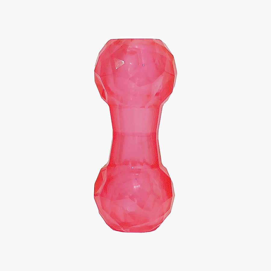 Rosewood Biosafe Dumbbell Puppy Treat Toy