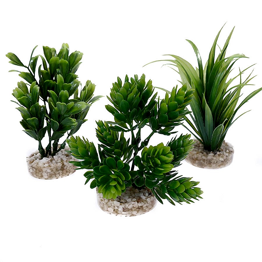 Sydeco Magic Aqua Aquarium Plant