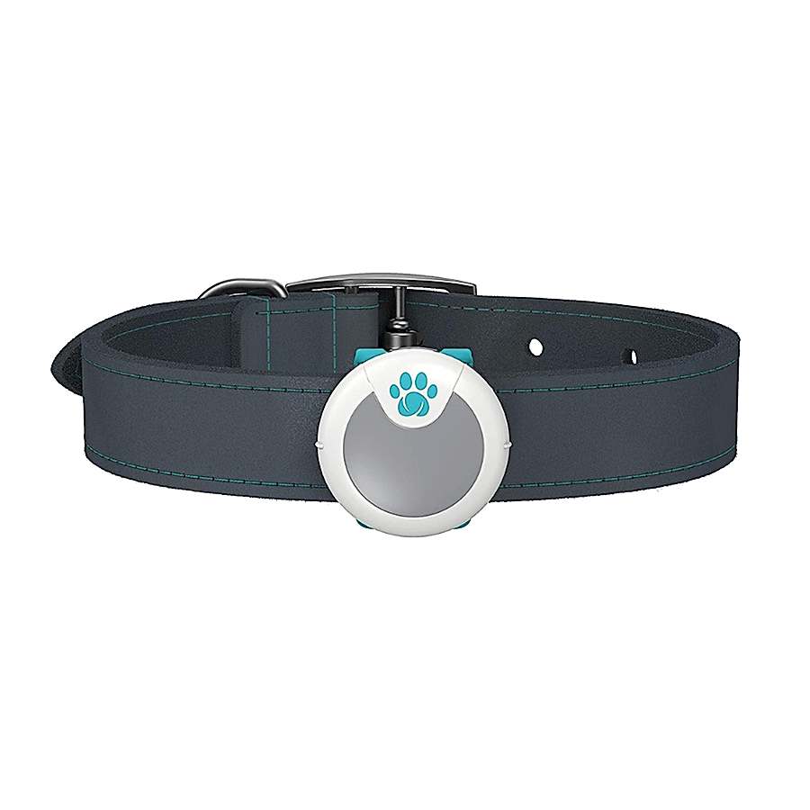 SureFlap Animo Activity & Behaviour Monitor for Dogs