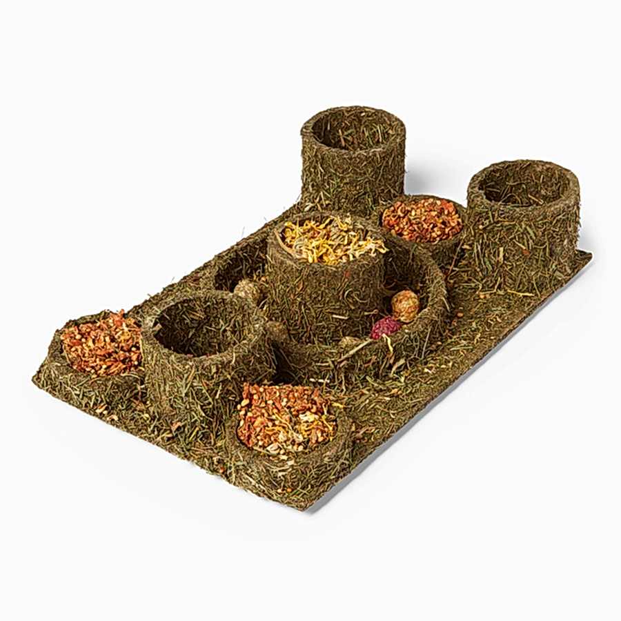 Woodlands Hide & Treat Maze Small Animal Game