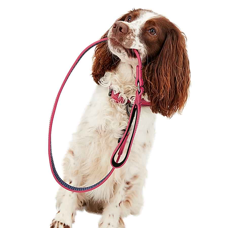 Joules Leather Dog Lead Pink 108cm