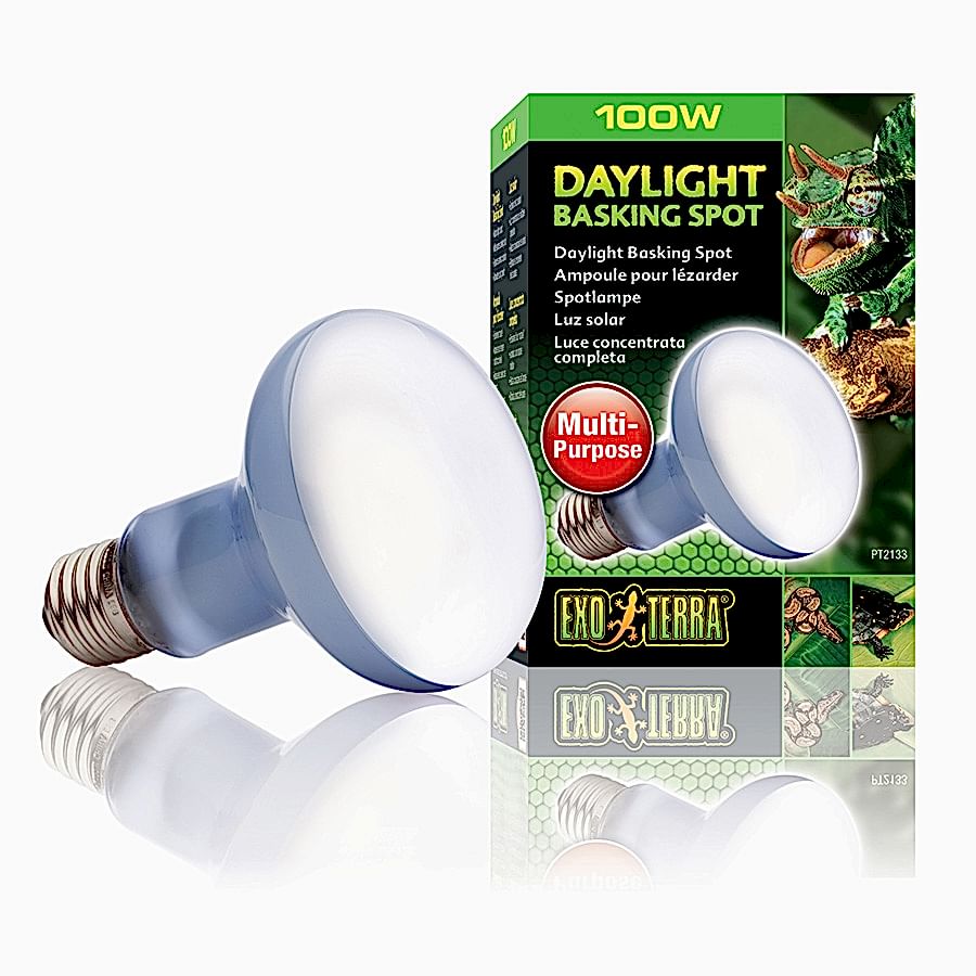 Exo Terra Reptile Daylight Basking Spot Lamp