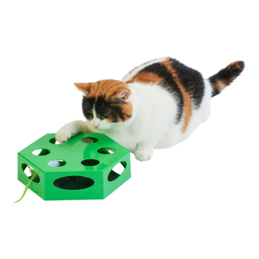 Pets at Home Interactive Maze Cat Toy