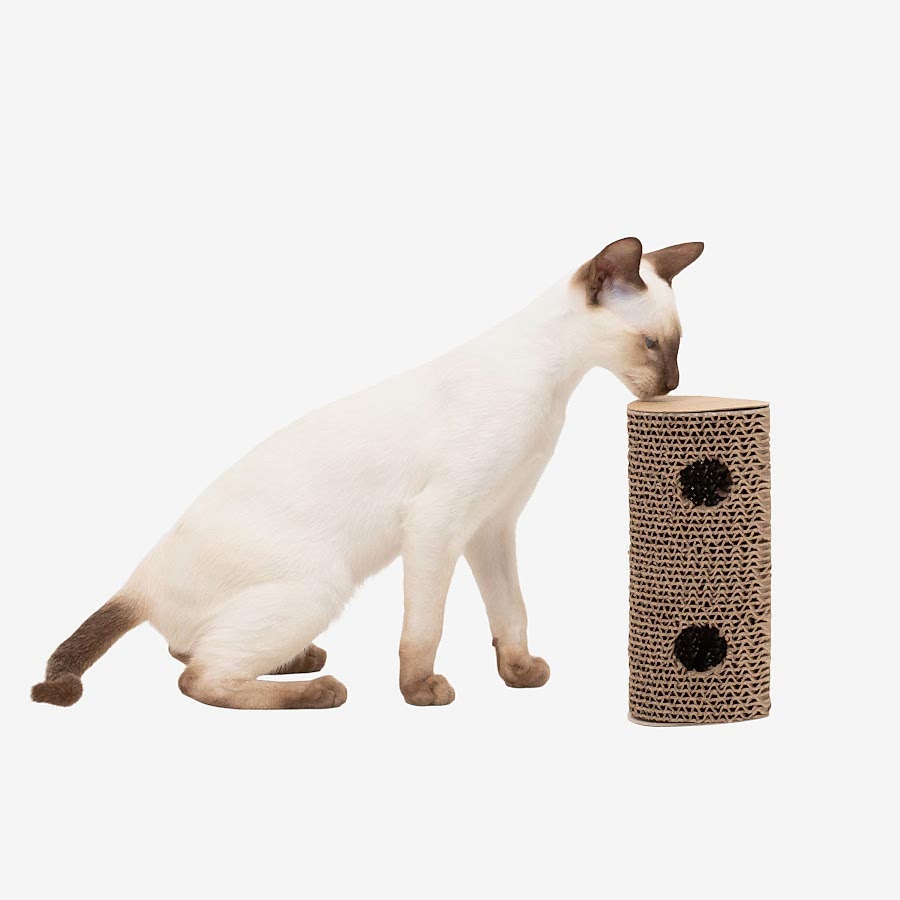 Willow's Scratch Play & Roll Cat Toy