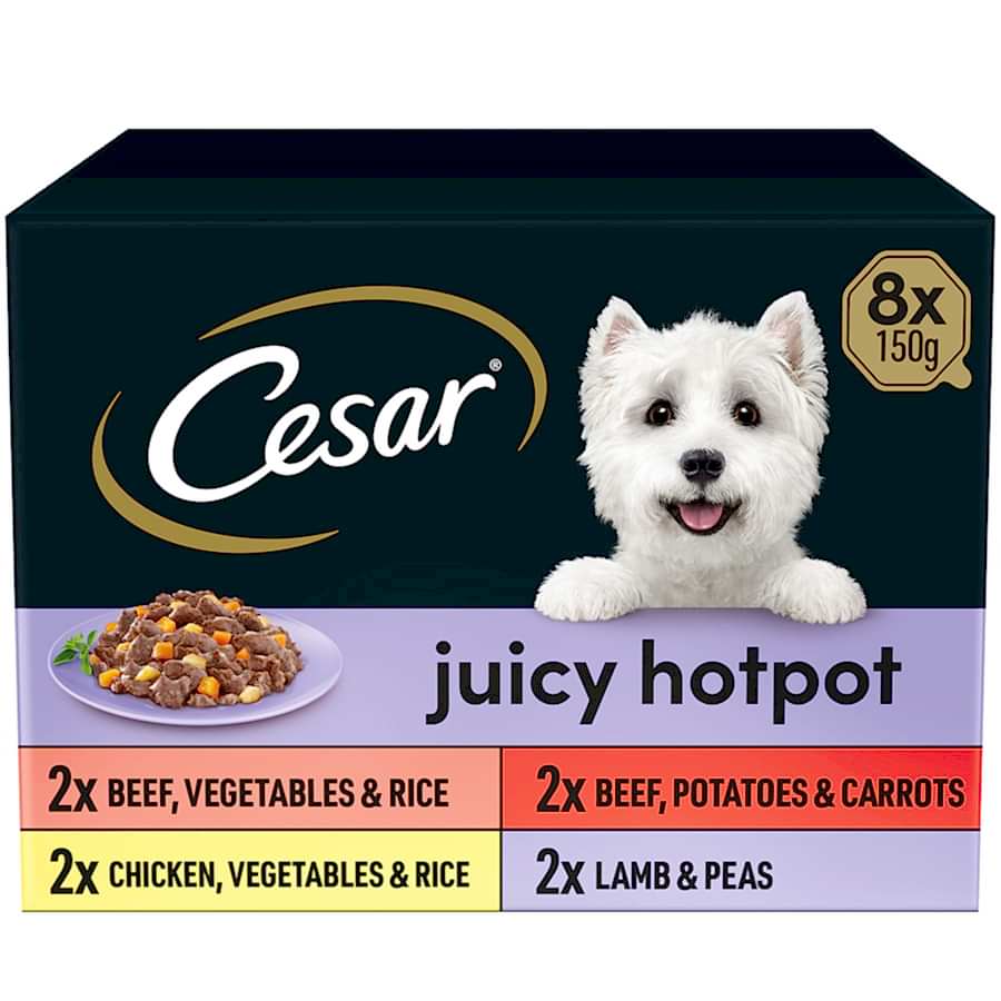 Cesar Juicy Hotpot Adult Wet Dog Food Mixed Gravy