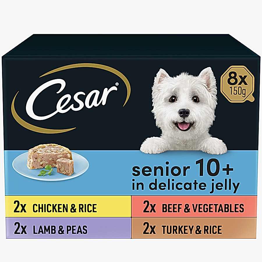 Cesar Senior 10+ Wet Dog Food In Jelly