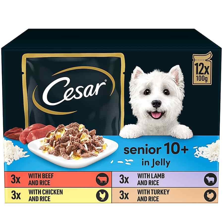 Cesar Senior Wet Dog Food Mixed Selection In Jelly