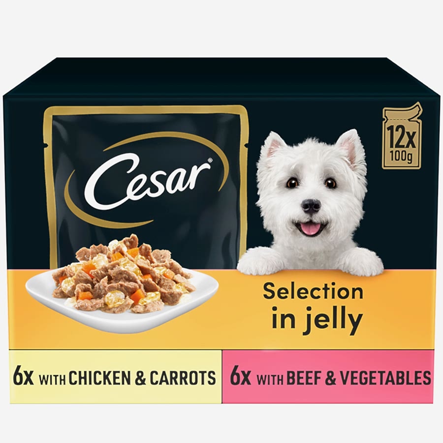 Cesar Wet Dog Food Mixed Selection In Jelly