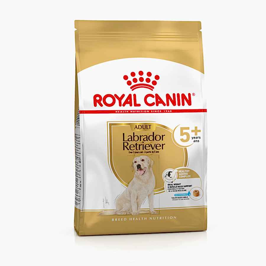 Royal Canin Labrador Retriever 5+ Dry Dog Food