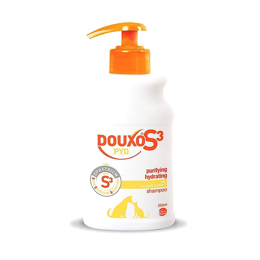 Douxo S3 PYO Antiseptic Dog & Cat Shampoo