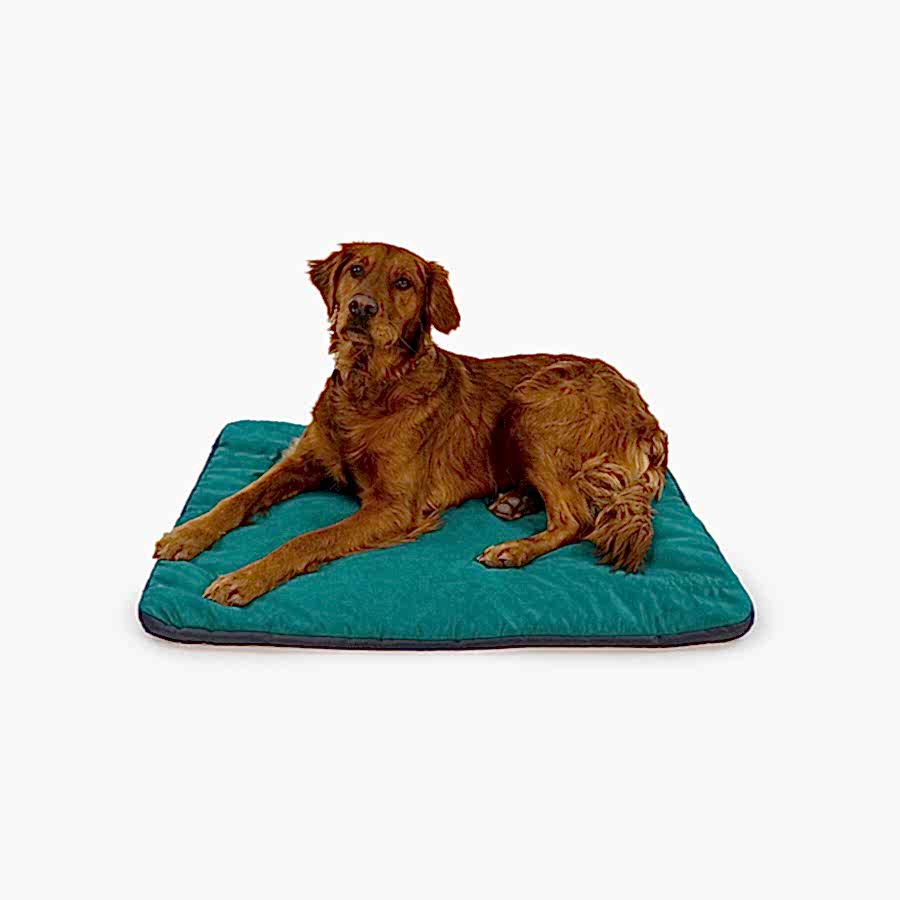 Ruffwear Mt Bachelor Pad Dog Bed Teal