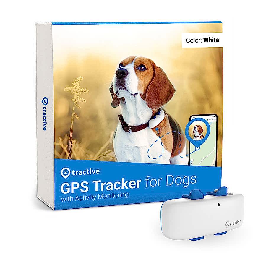 Tractive GPS Dog 4 Tracker & Activity Monitor White