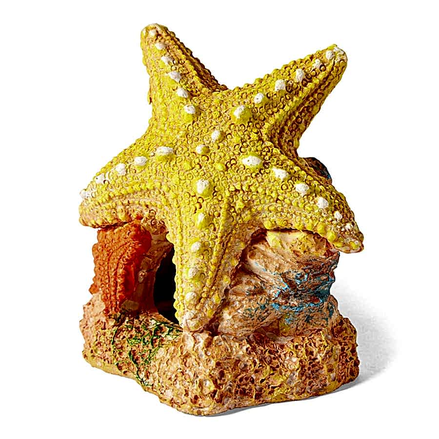 Pets at Home Sea Star Duo Aquarium Ornament