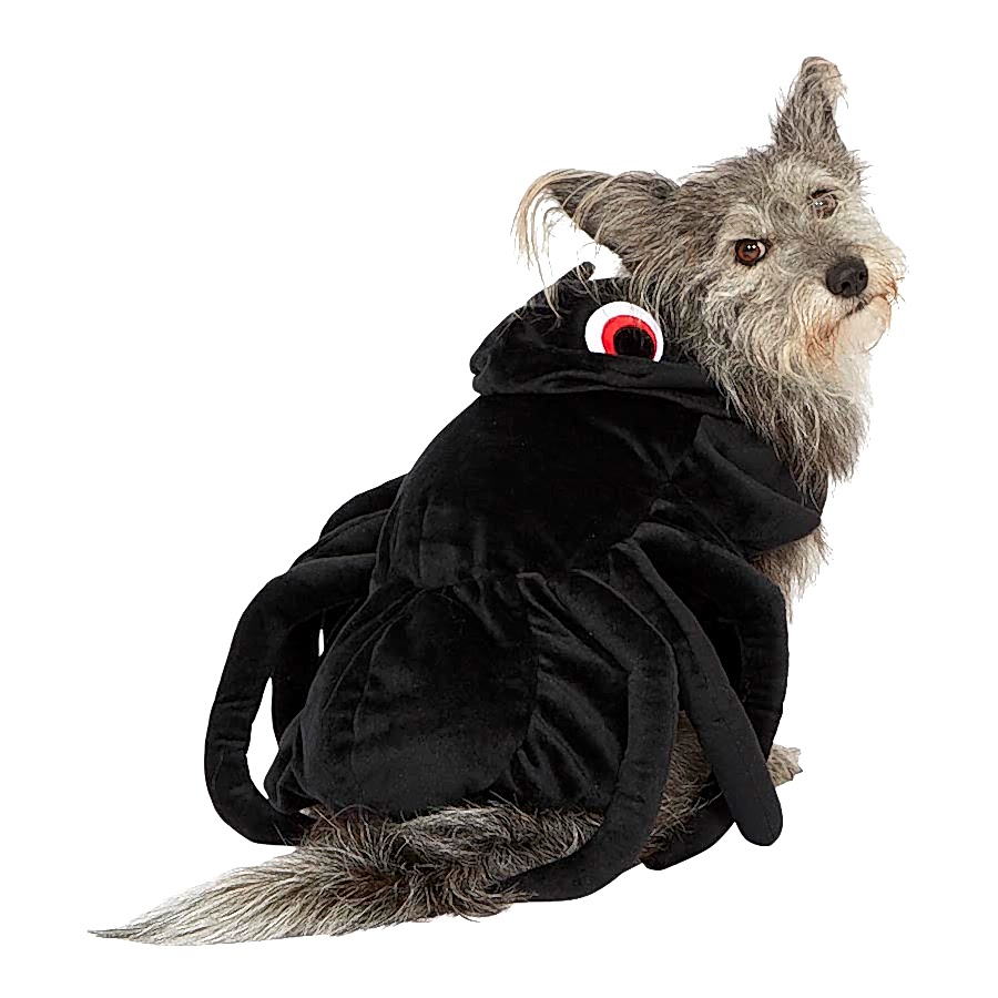 Pets at Home Halloween Spider Dog Costume Black