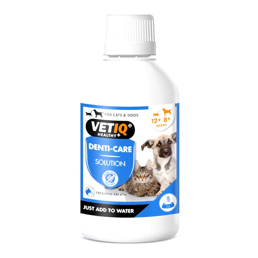 VetIQ Denti-Care Liquid for Cat & Dog