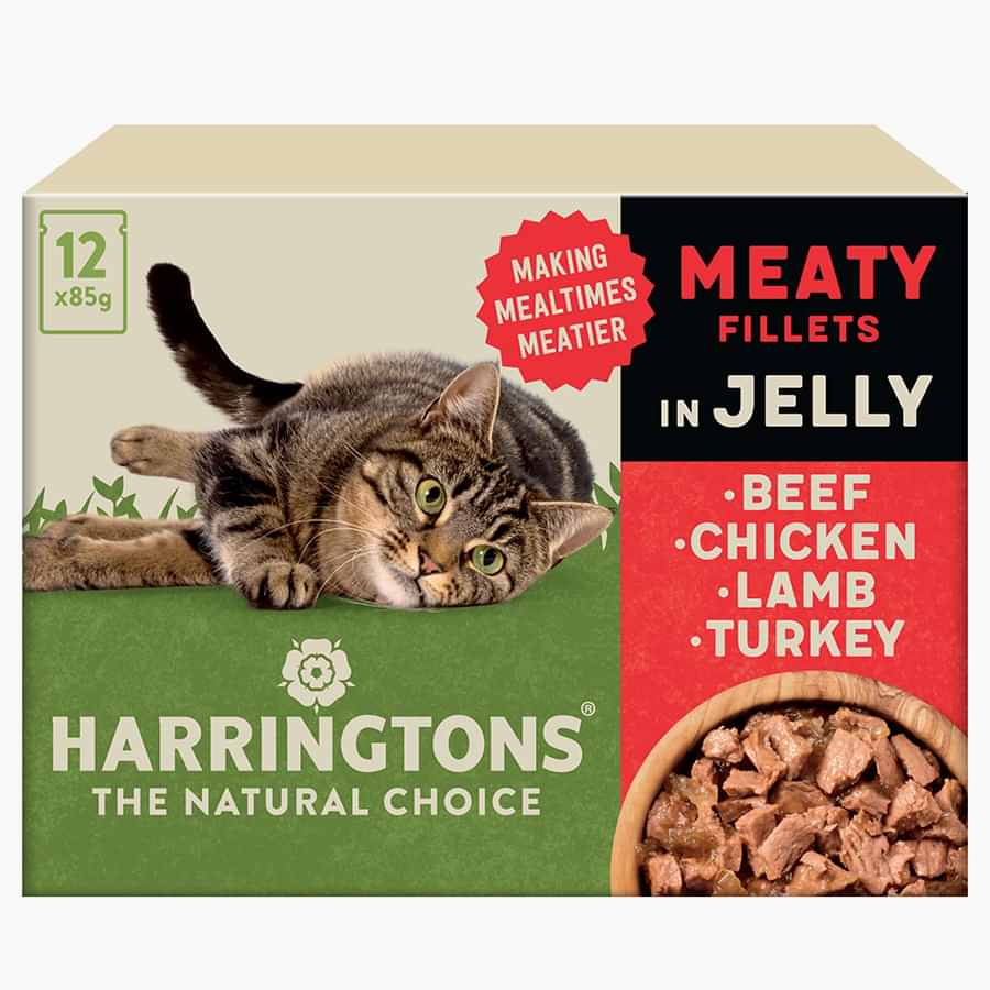 Harringtons Wet Cat Food Meat in Jelly