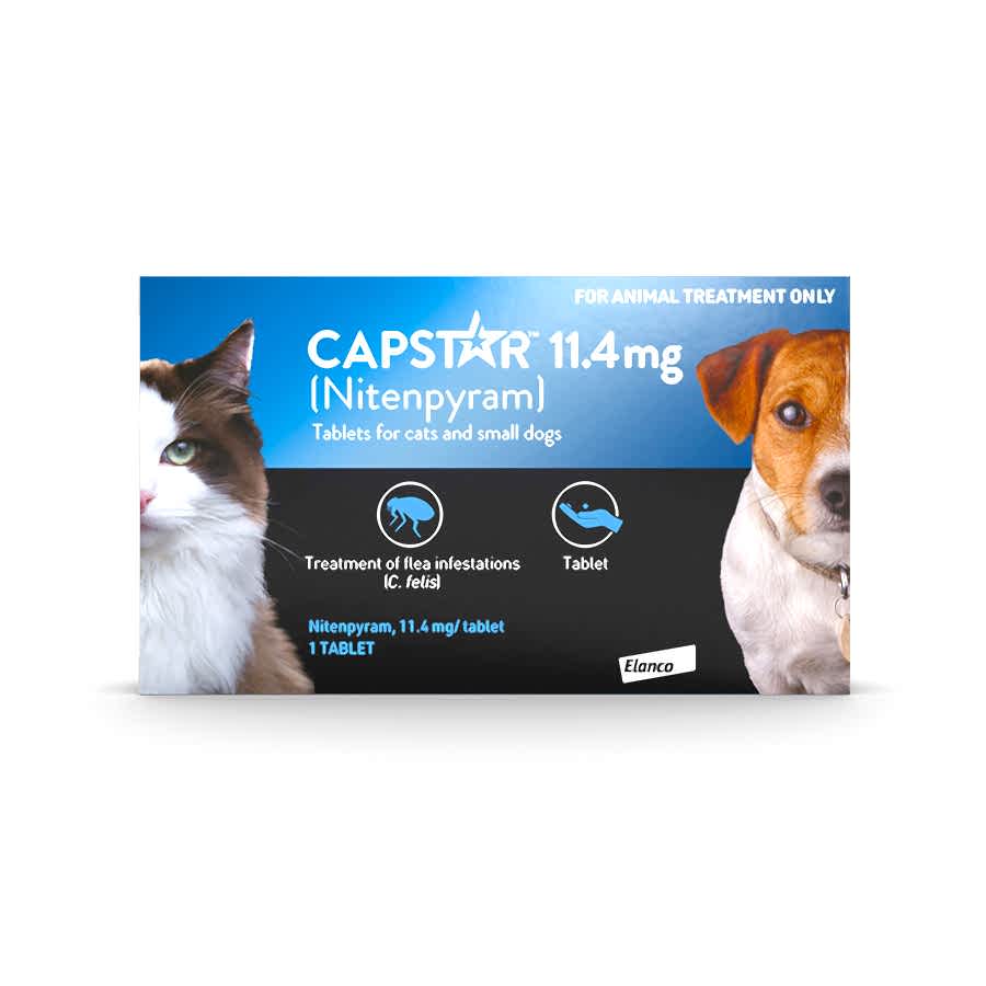 Capstar Flea Treatment Tablet for Cats & Small Dogs