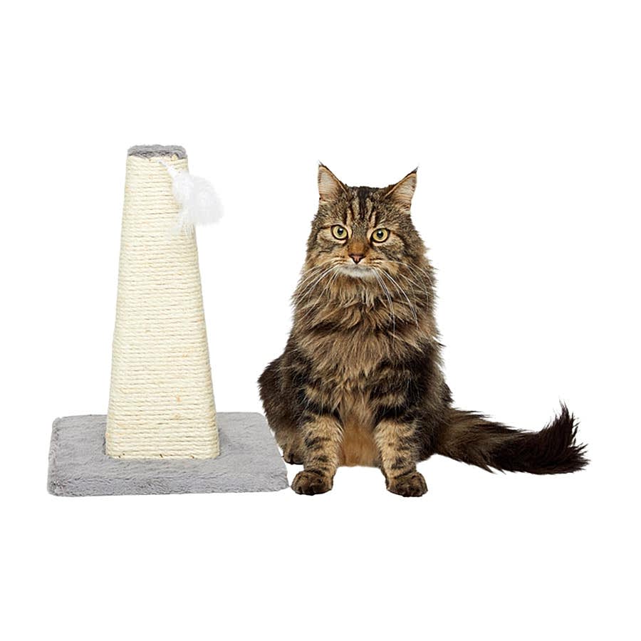 Just For Kitten Cone Shaped Kitten Scratching Post